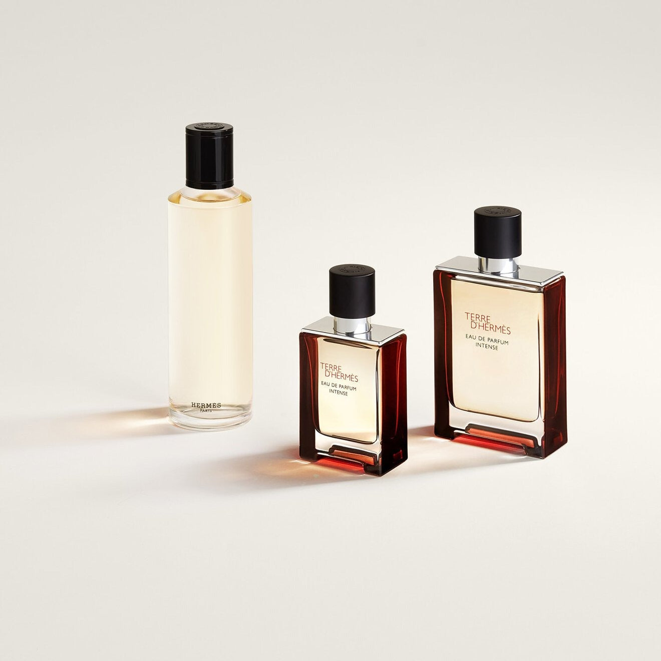 Terre D'Hermès EDP Intense 100ML