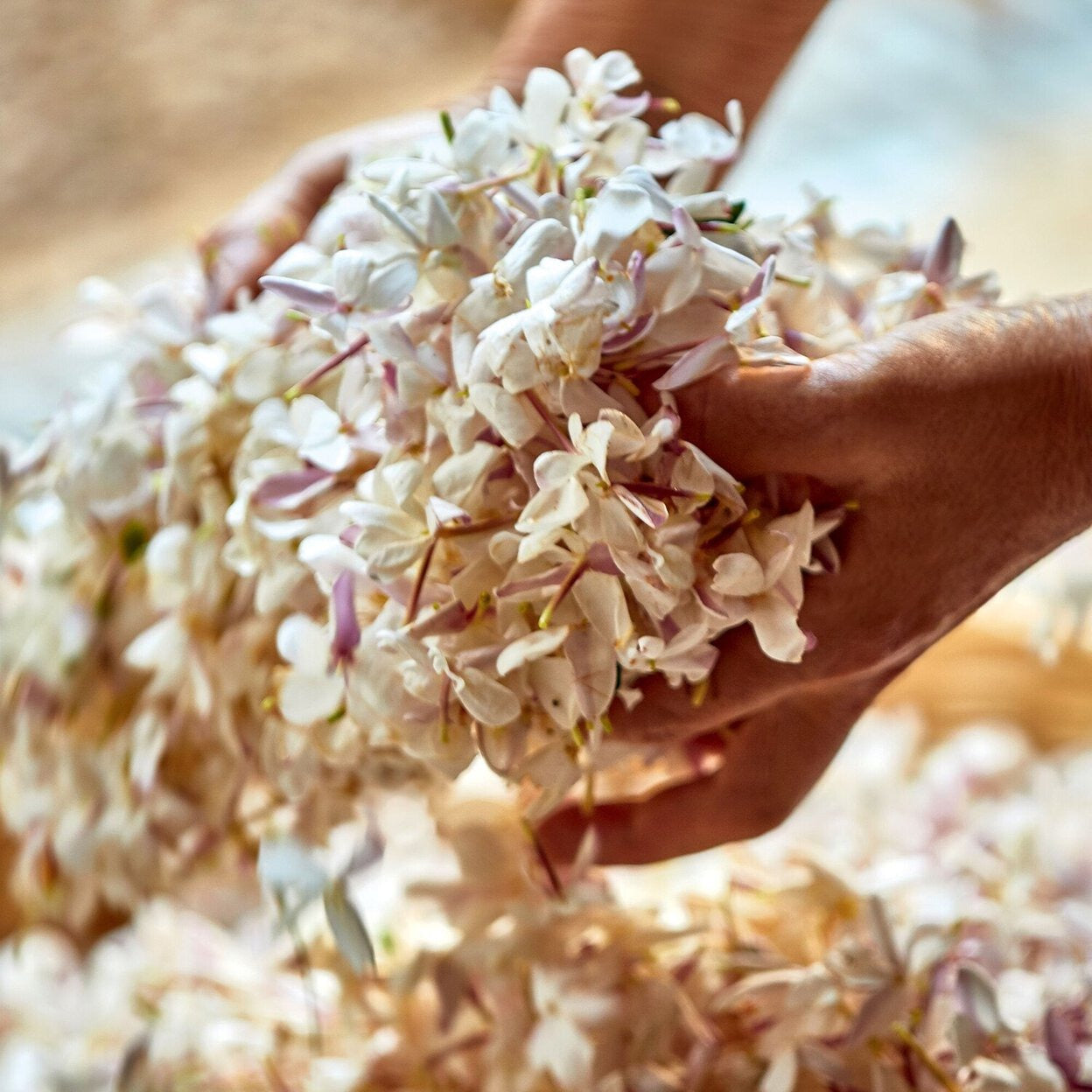 Christian Dior J'adore For Women EDP 100ML