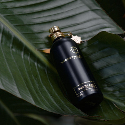 Montale Oud Island EDP 100ML