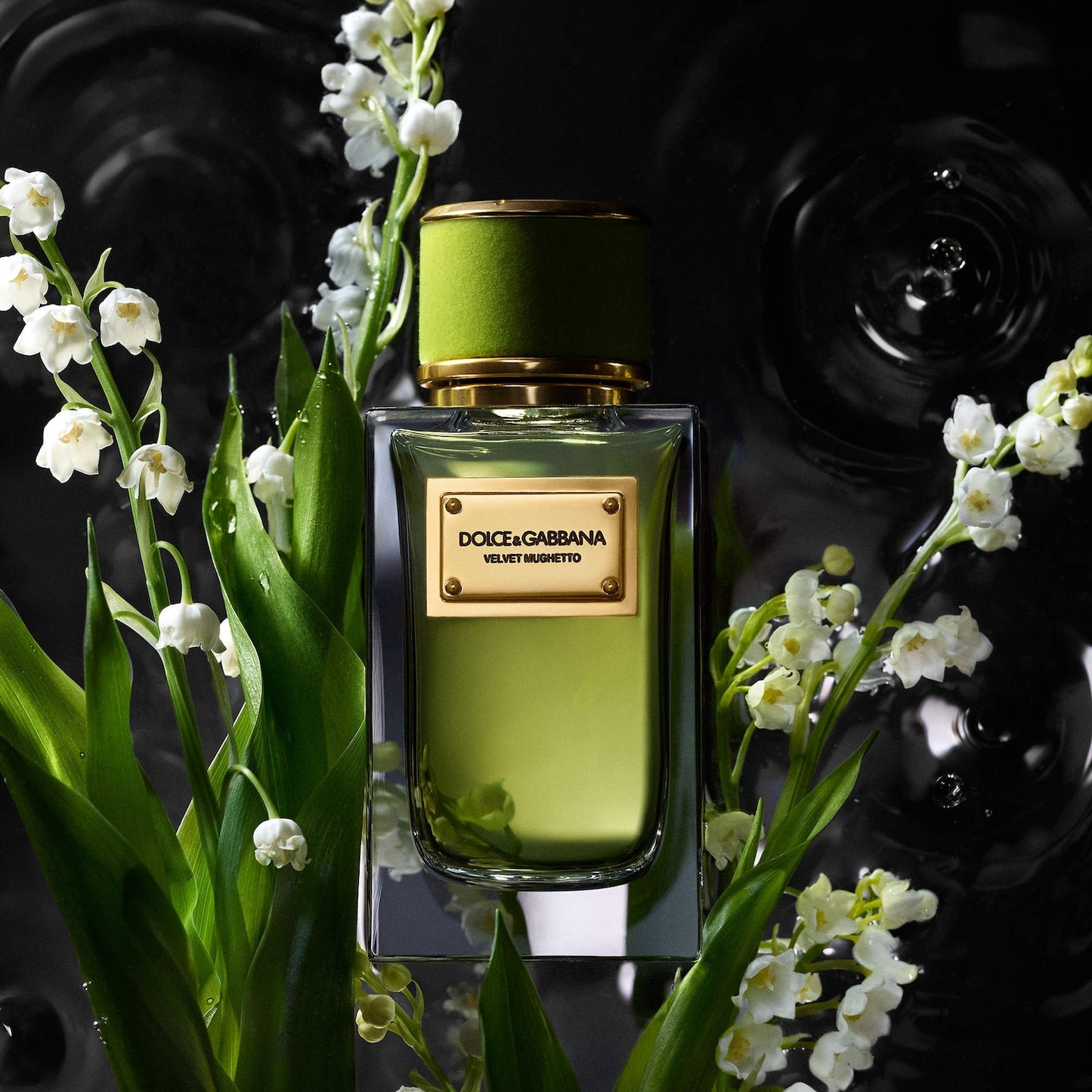 Dolce & Gabbana Velvet Mughetto EDP 100ML