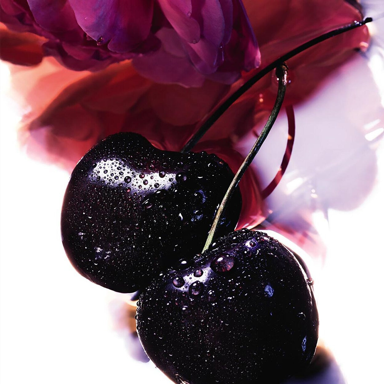 Guerlain La Petite Robe Noire Eau de Parfum 100ML