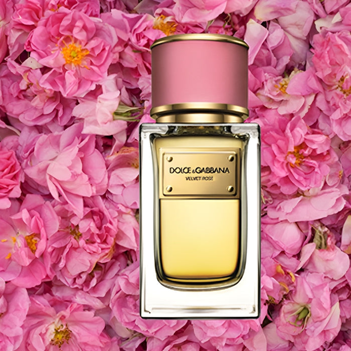 Dolce & Gabbana Velvet Rose EDP 100ML