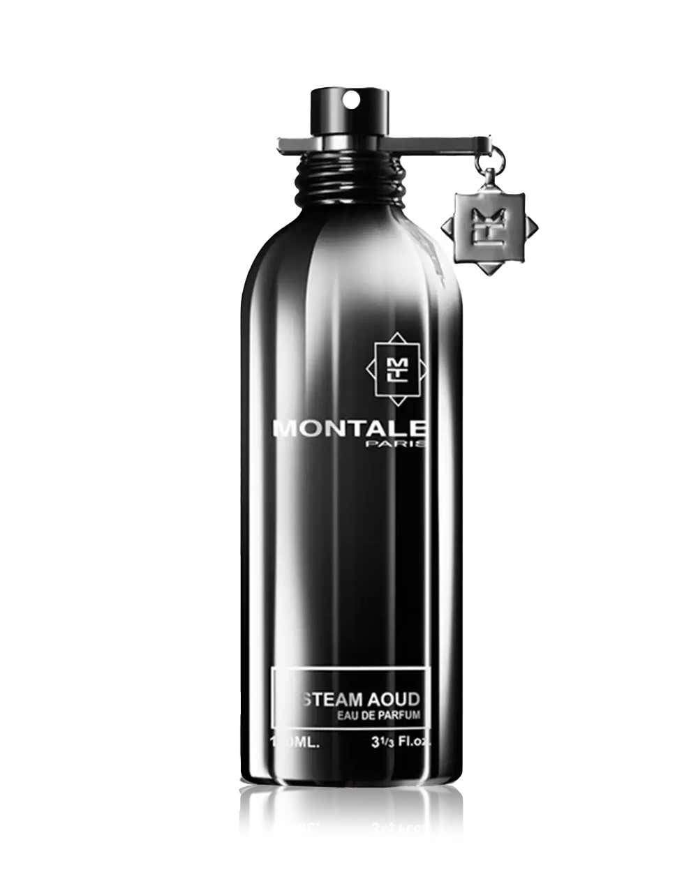 Montale Steam Aoud EDP 100ML