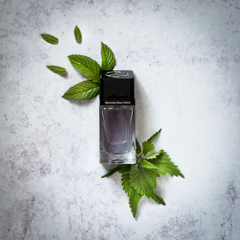 Mercedes Benz Select EDT 100ML
