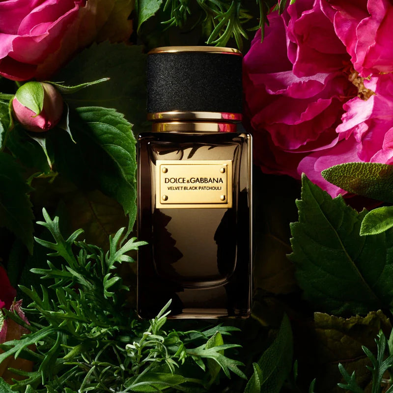 Dolce & Gabbana Velvet Black Patchouli EDP