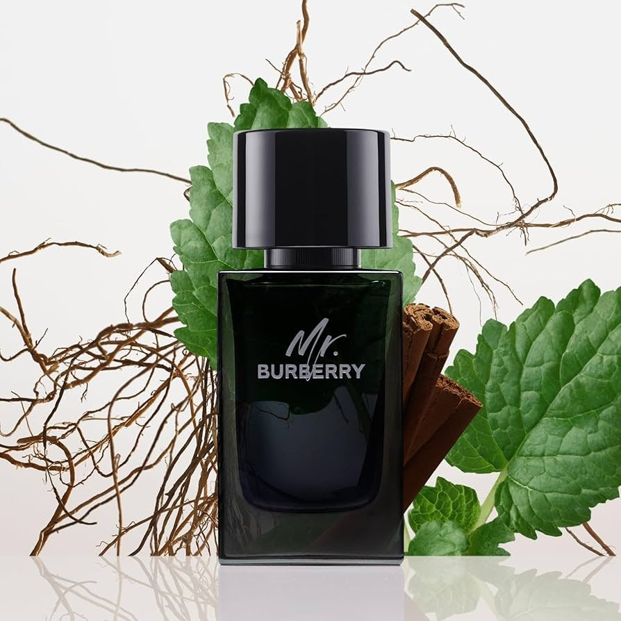 Burberry Mr Burberry EDP 100 ML