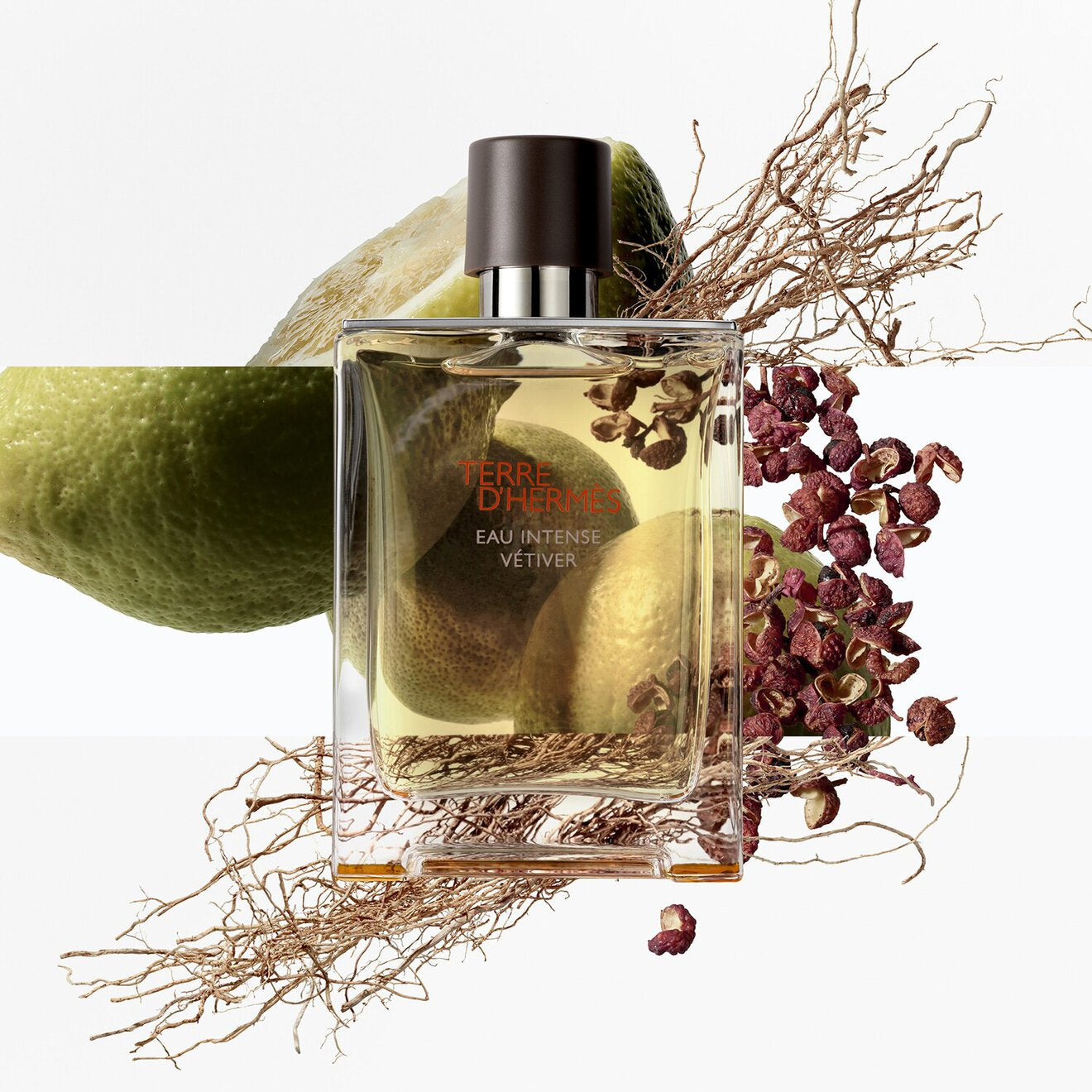Terre d'Hermès Eau Intense Vétiver EDP 100ML