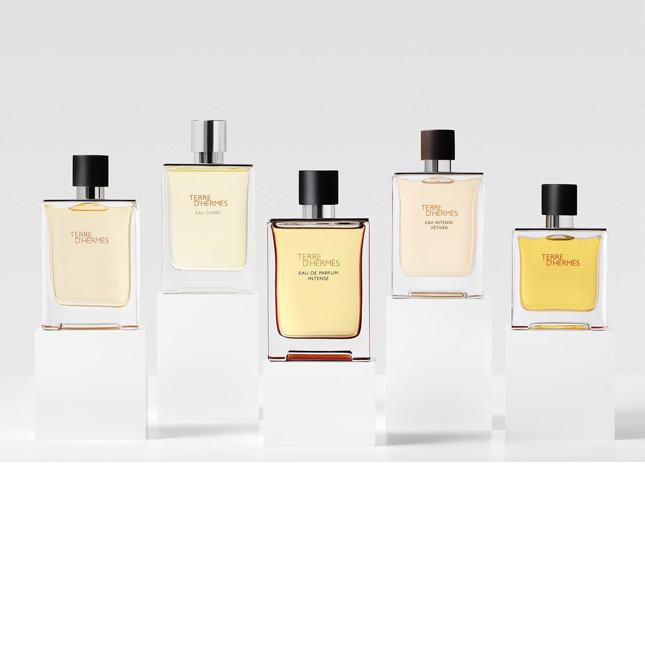 Terre d'Hermès Eau Intense Vétiver EDP 100ML