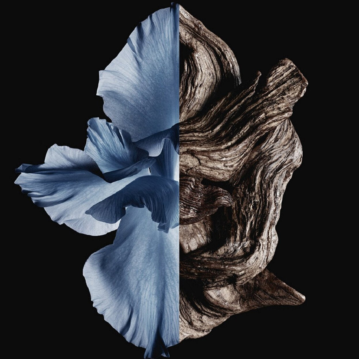 Givenchy Gentleman EDT Intense 100ml