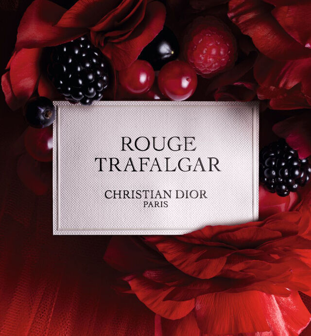 Christian Dior ROUGE TRAFALGAR EDP 450ML – Primadona.beauty