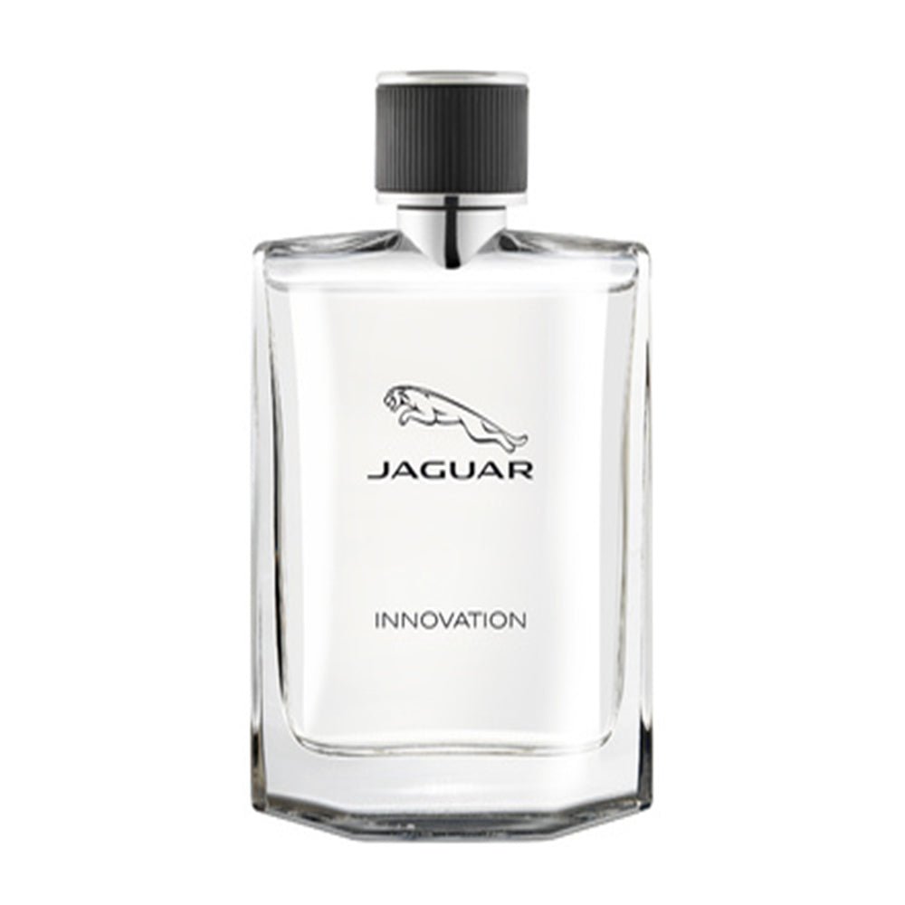 Innovation Jaguar Perfume For Men EDT 100ML